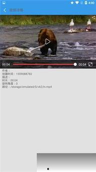 小奇的最新爆料视频下载,一窥娱乐圈幕后风云